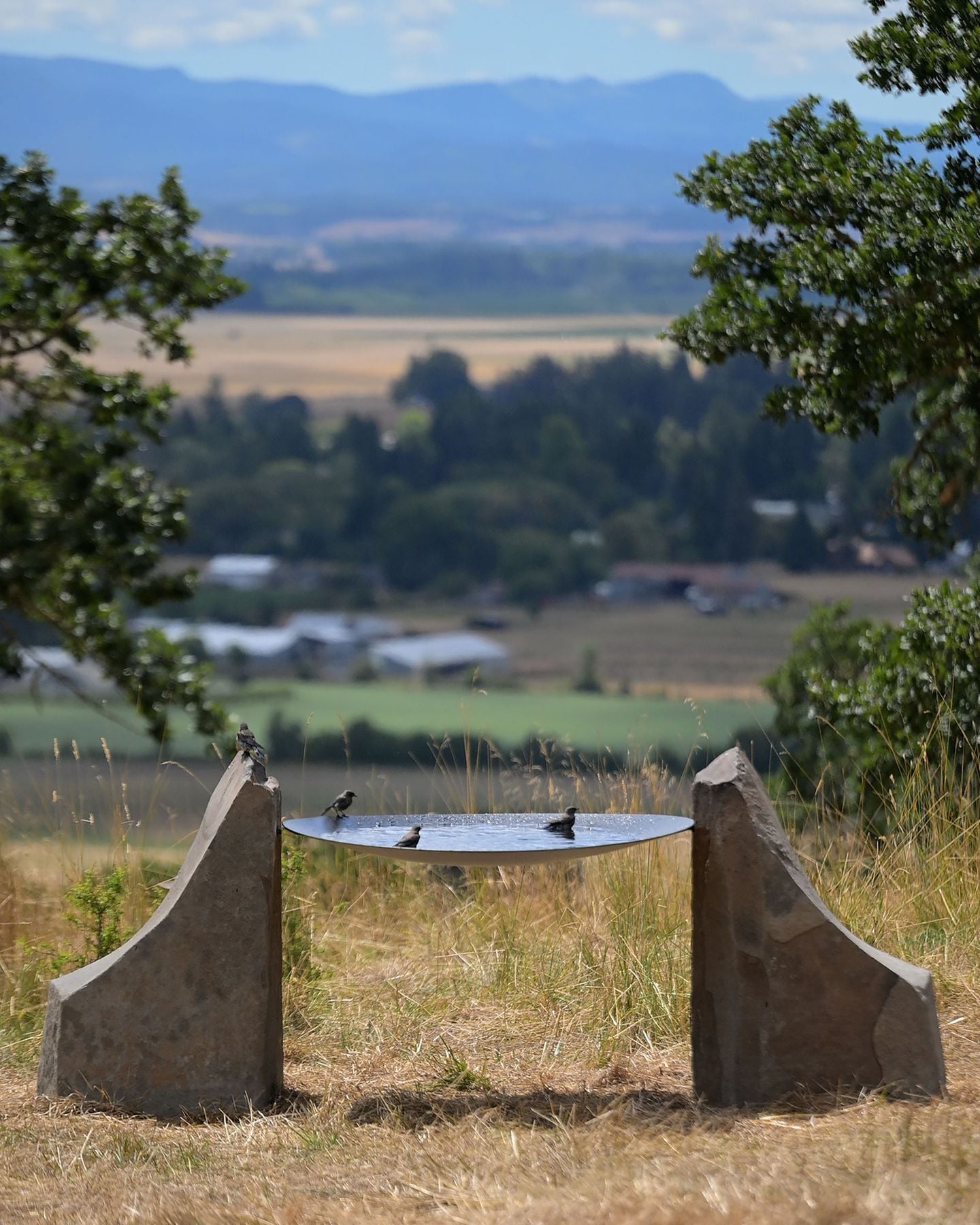 Insanely gorgeous bird bath...