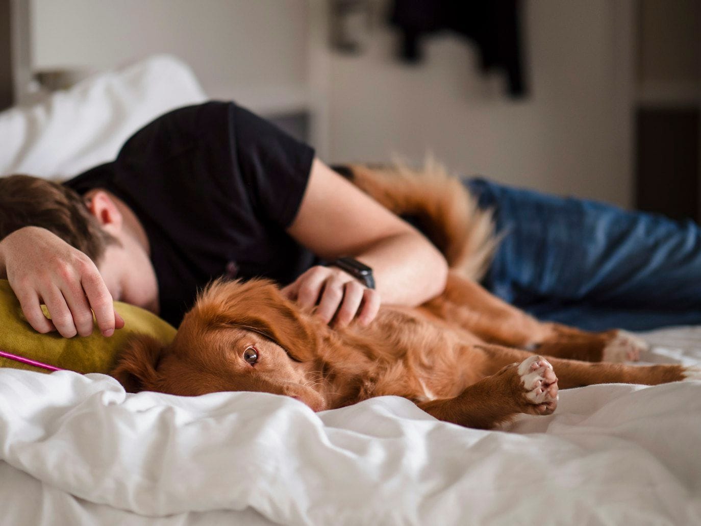 Napping on top of your duvet
