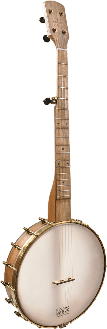 Learn an instrument - as an adult!