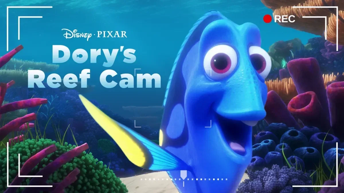 dory's reef cam