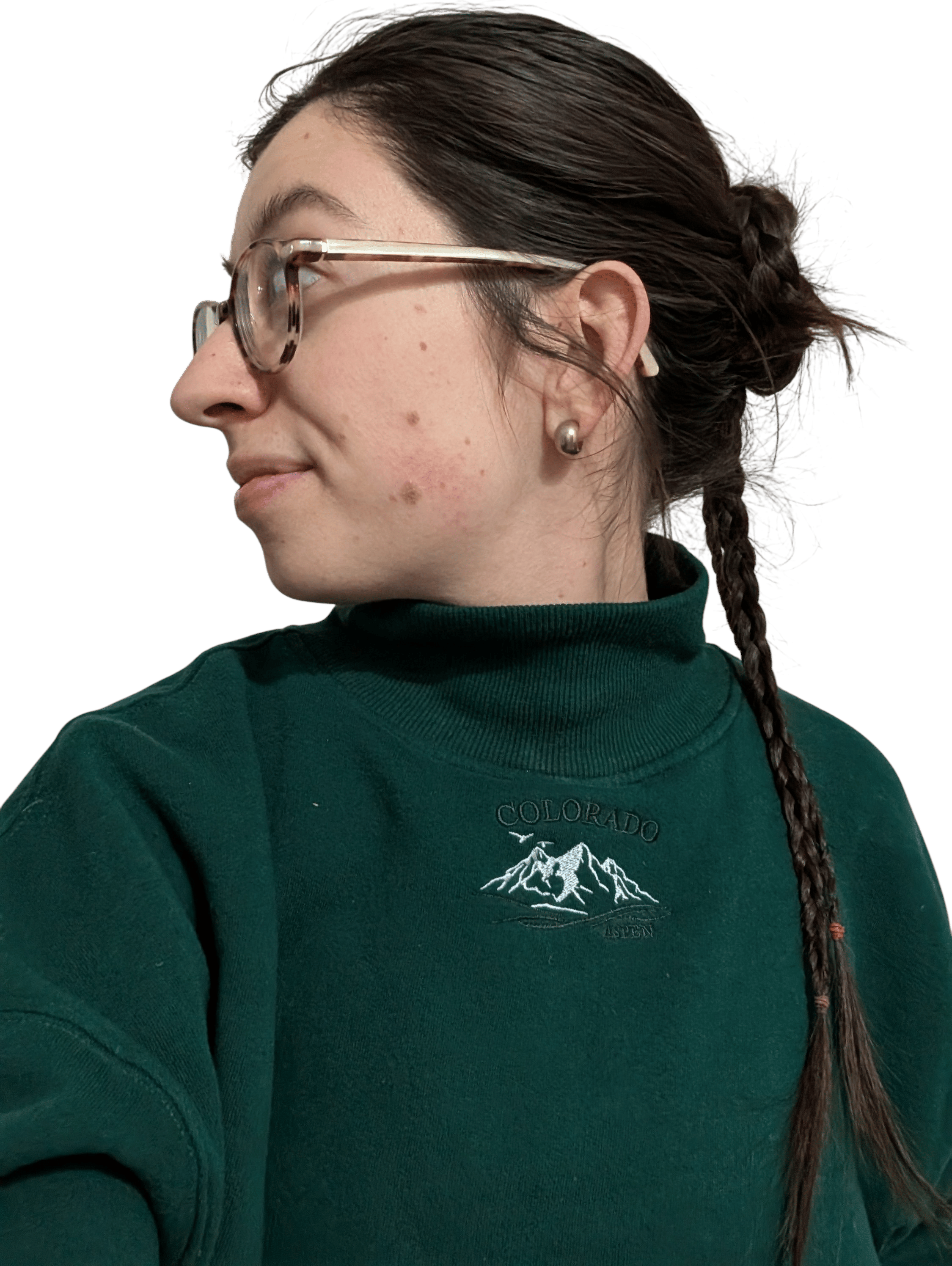 Braid Bun