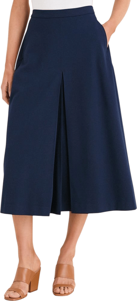 Phoebe Midi Skirt - Navy (Tuckernuck)
