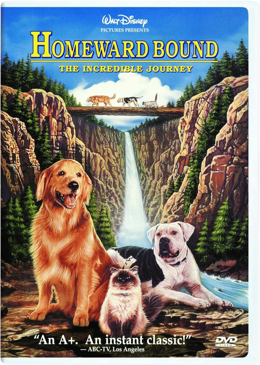 Homeward Bound: The Incredible Journey