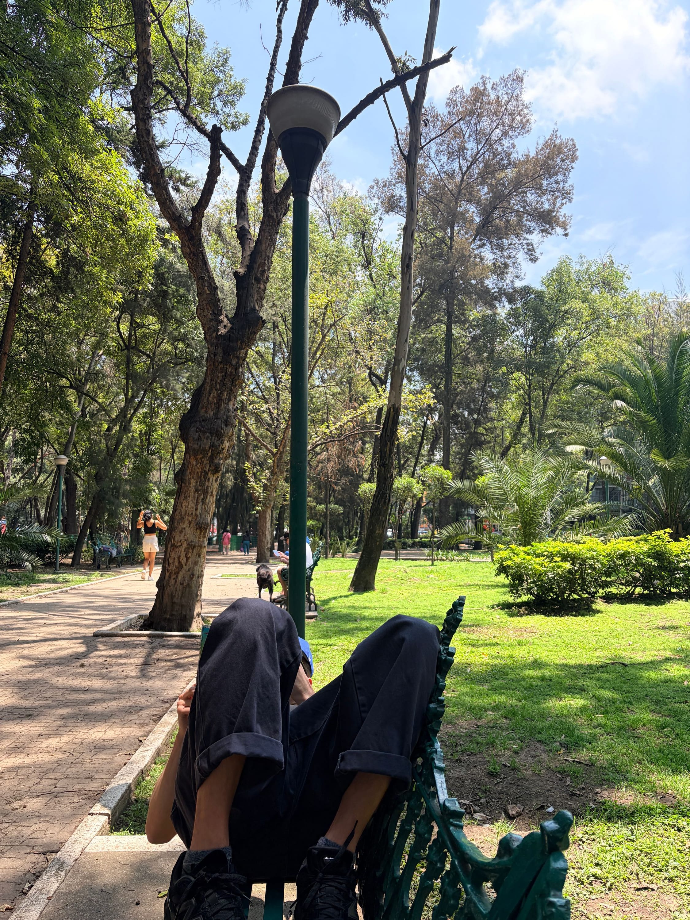 Reading in the park