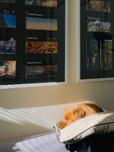 Put your beloved objects on display