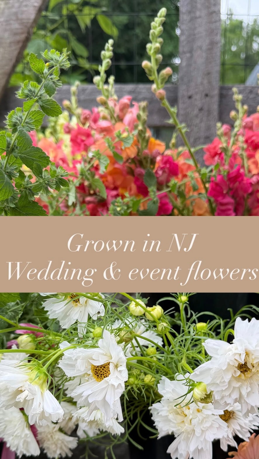 Have your wedding flowers custom grown for you