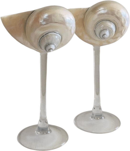Perfect Seashell Wine Glasses