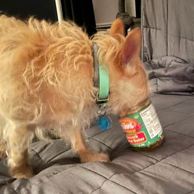 All Natural Peanut Butter