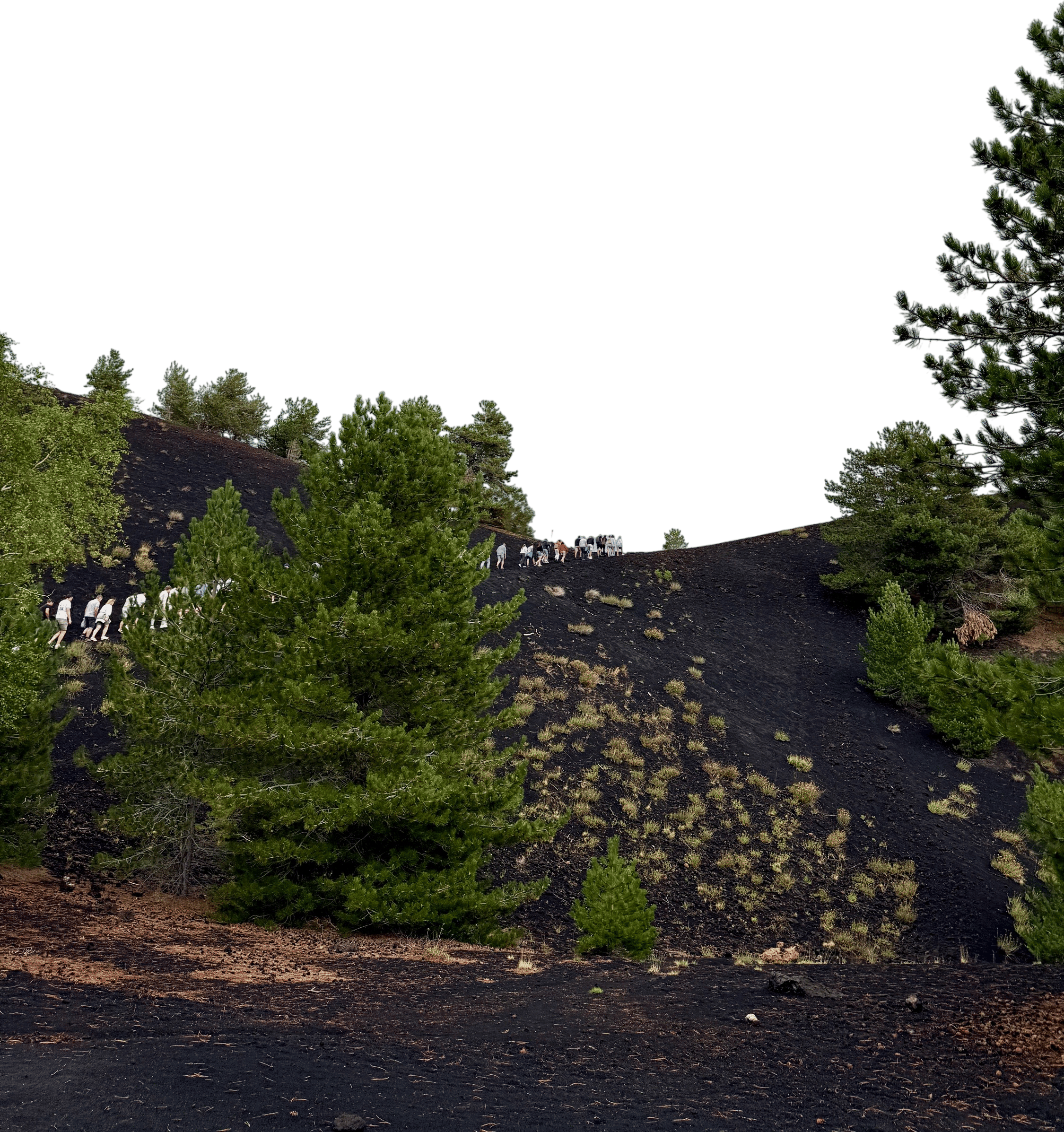 Etna Tour, Trekking & Excursions | EtnaWay