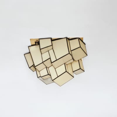 Ontogeny Large Sconce & Flushmount