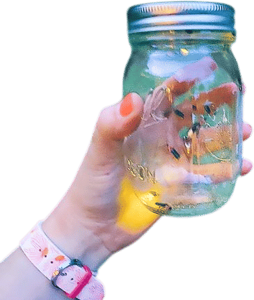 Catching Fireflies
