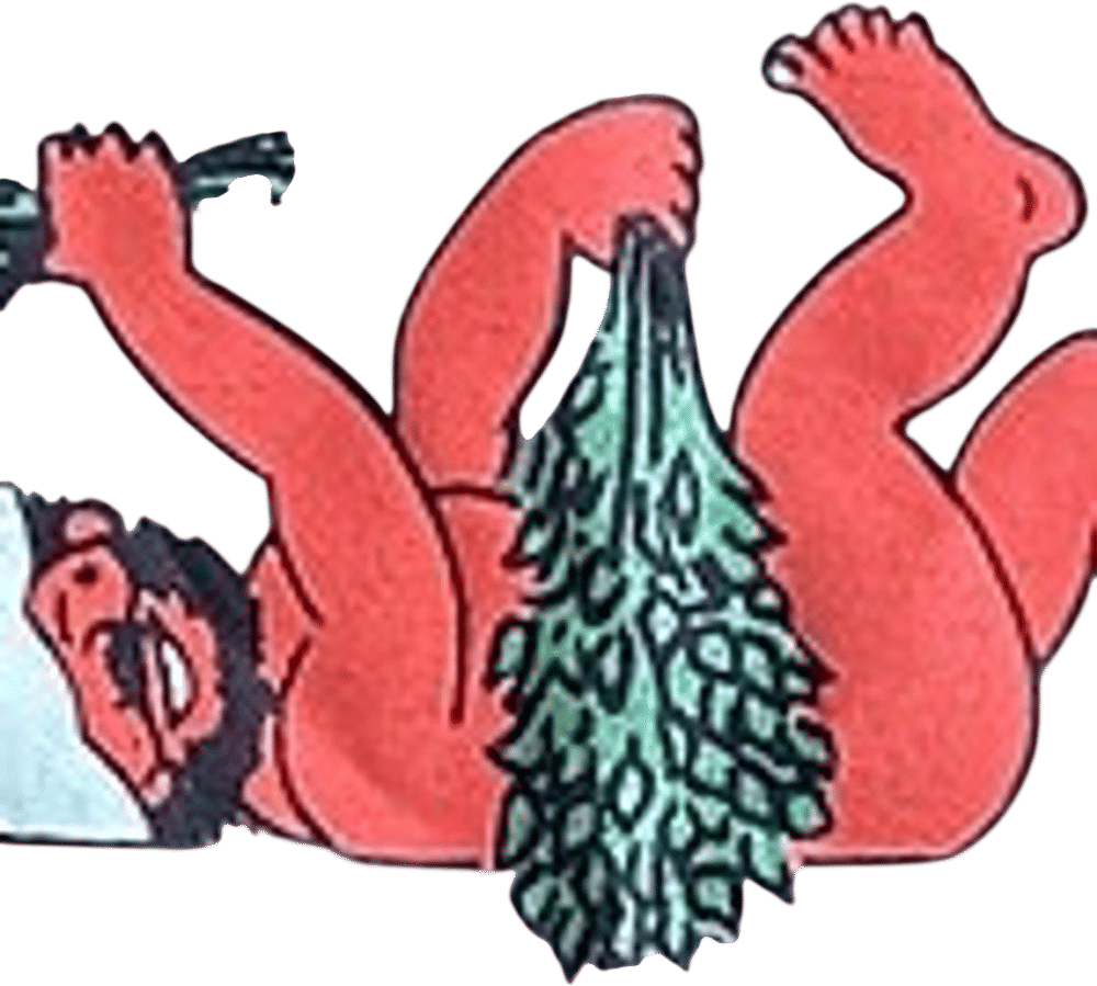 THE RUSSIAN & TURKISH BATHS