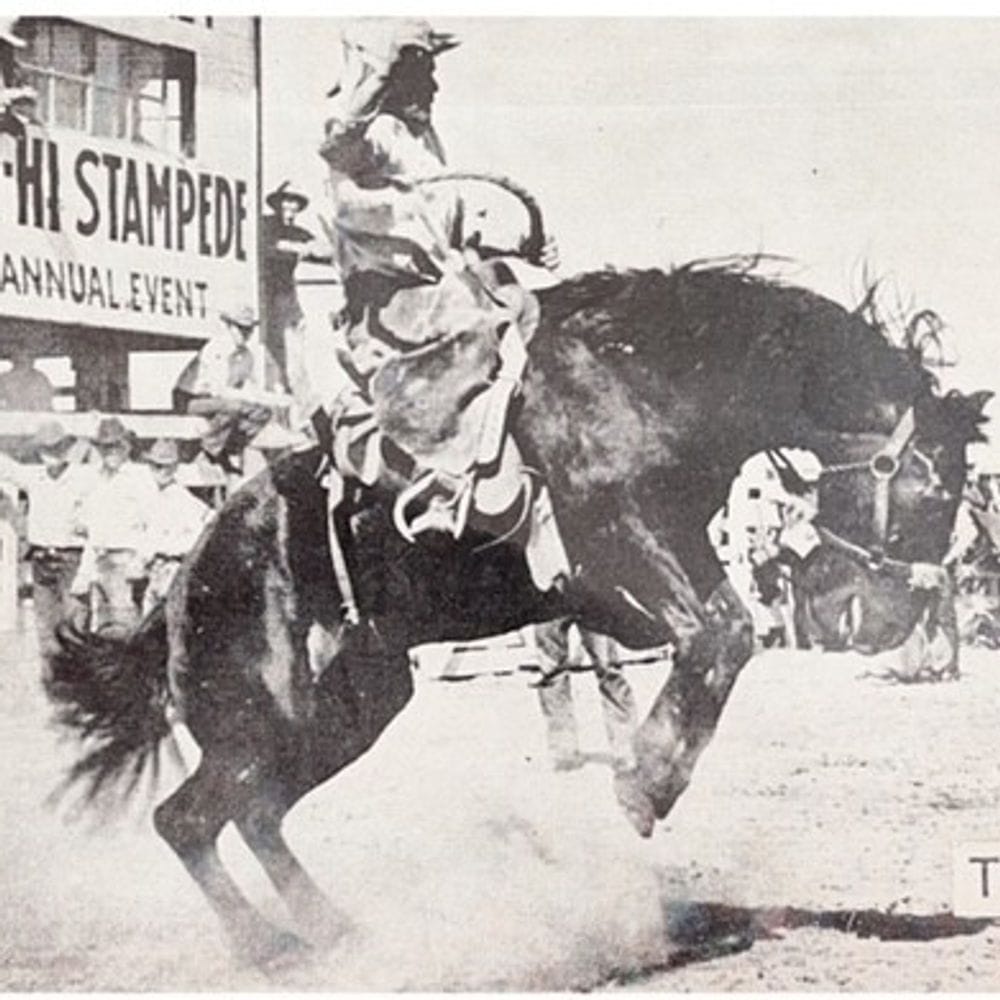 Ski Hi Stampede