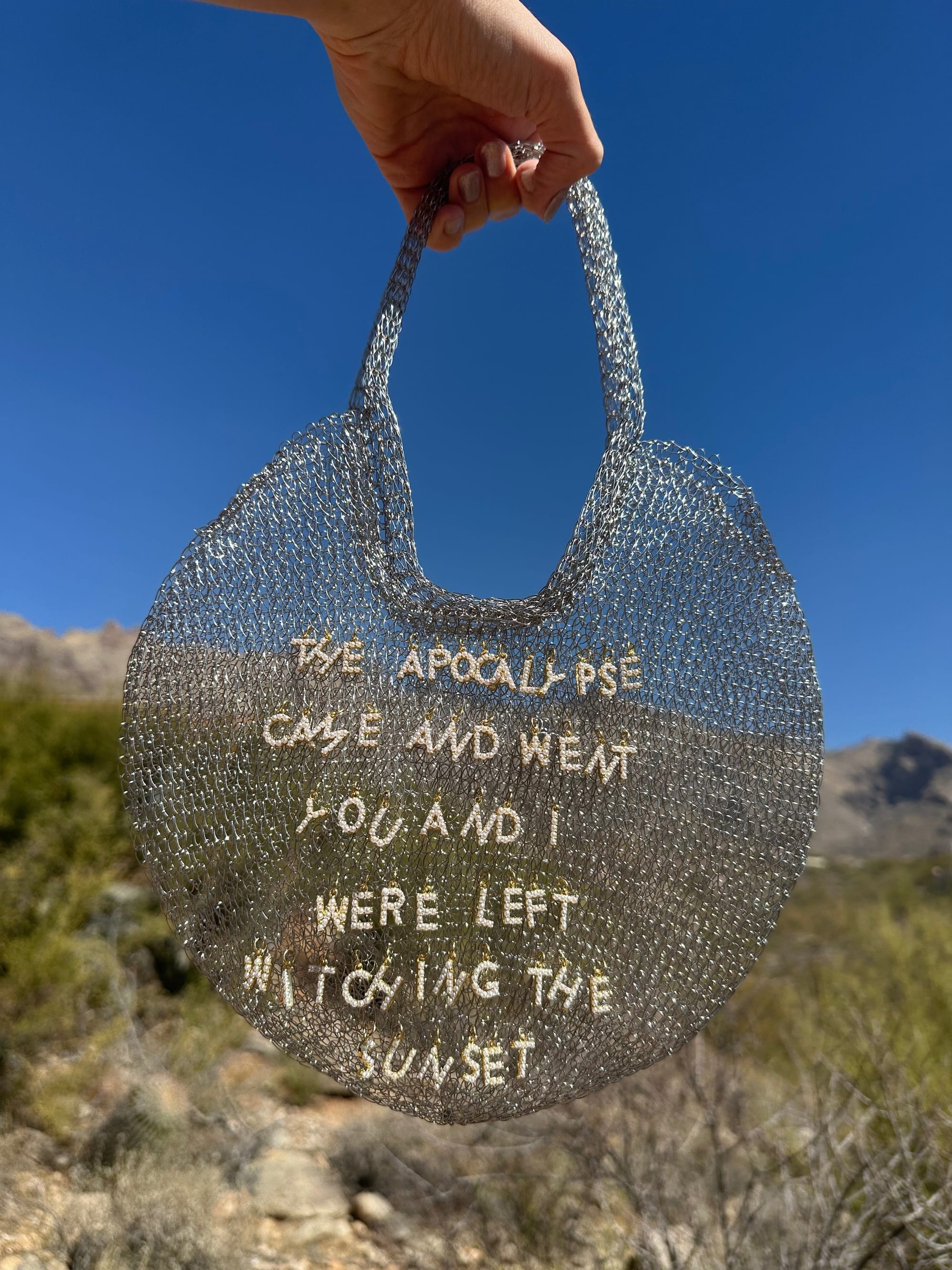 Apocalypse Mesh Purse