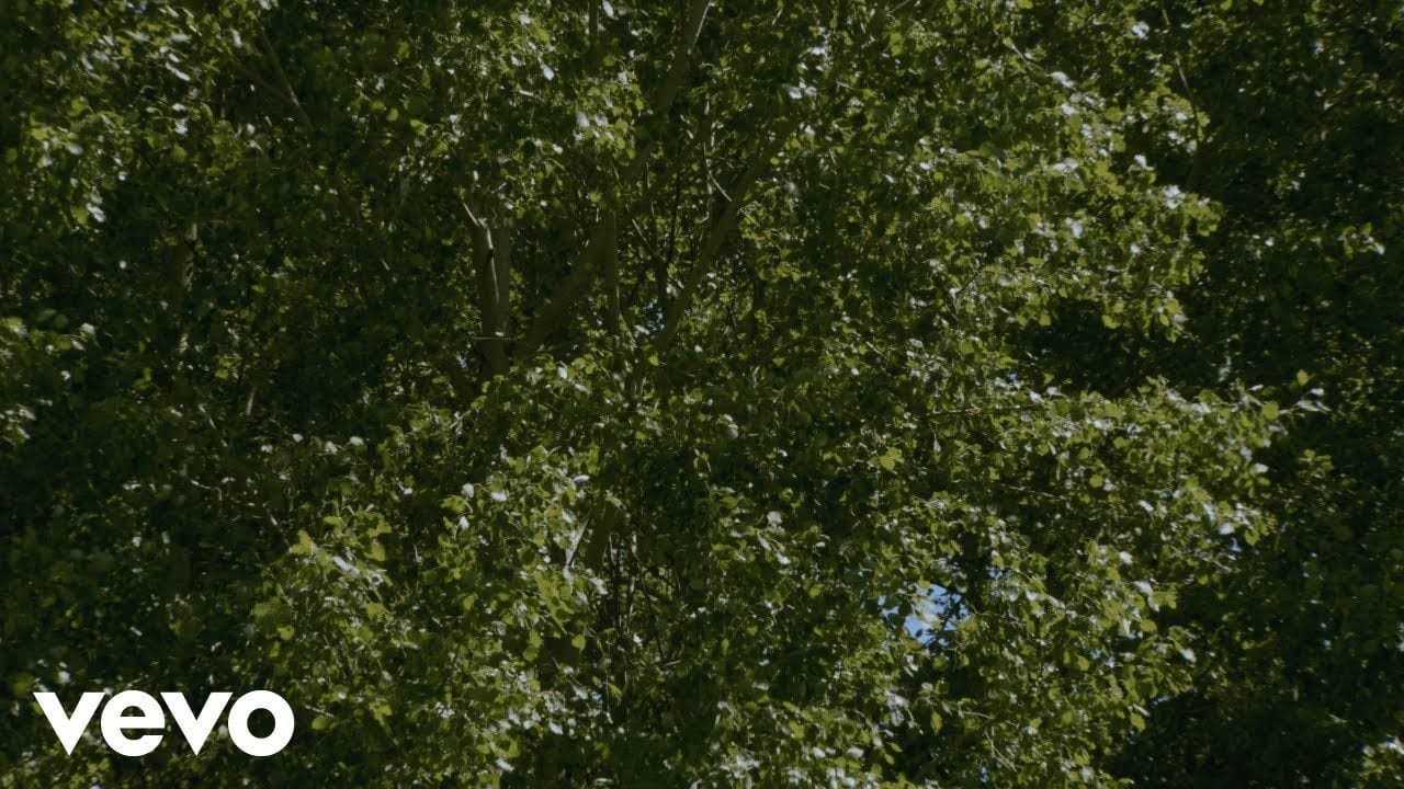 Laymelli -  Agnes Obel (2026)