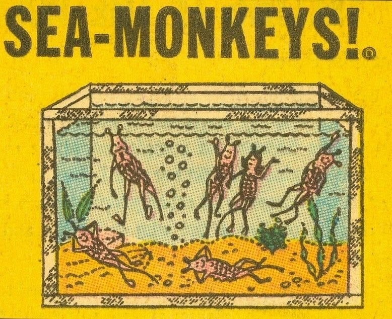 Sea-Monkeys