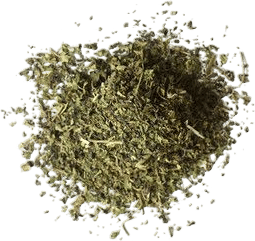 Nettle Leaf
