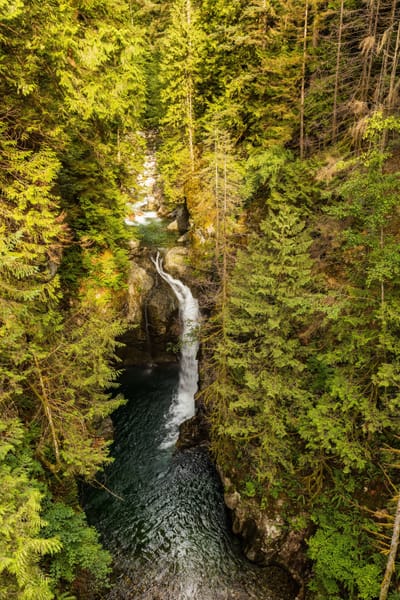 Lynn Canyon Park