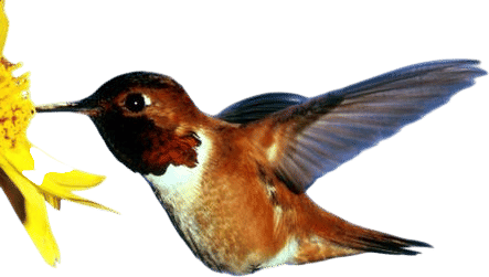 Members-Only Recommendation