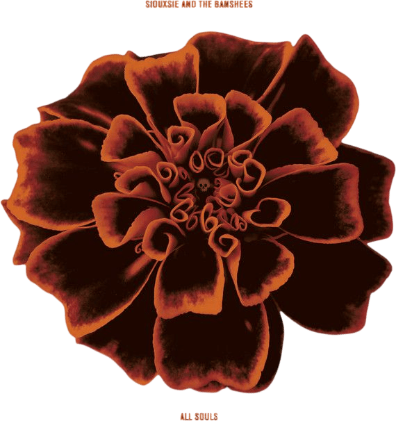 Siouxsie and the Banshees