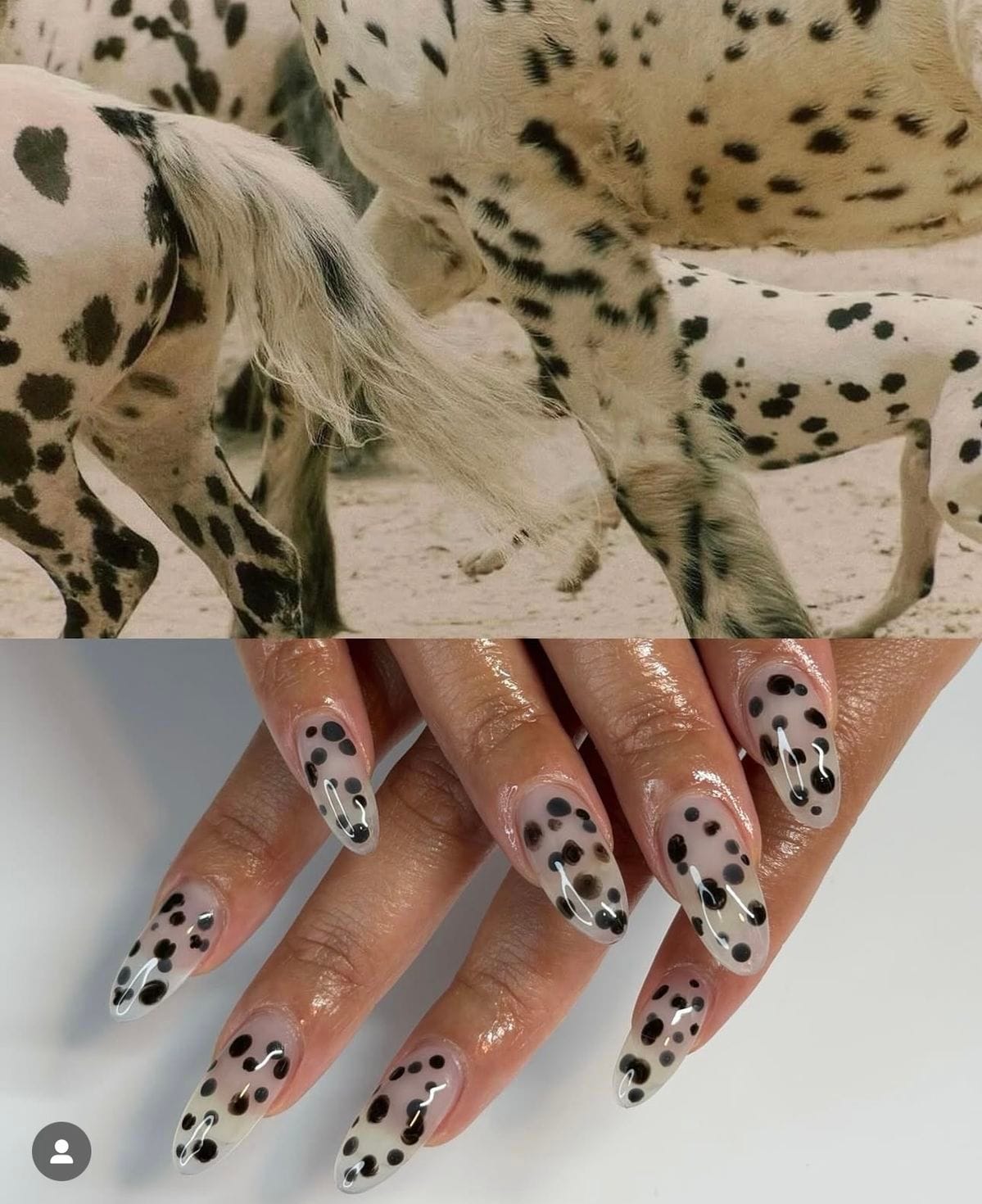 Dalmation Manicure