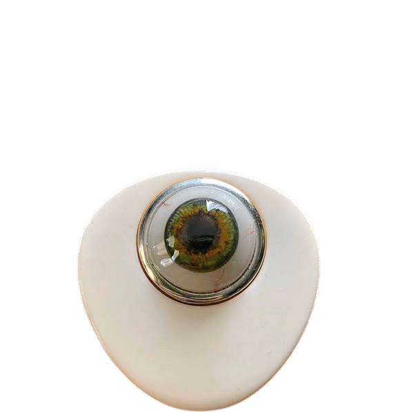 Hazel Eye Brooch