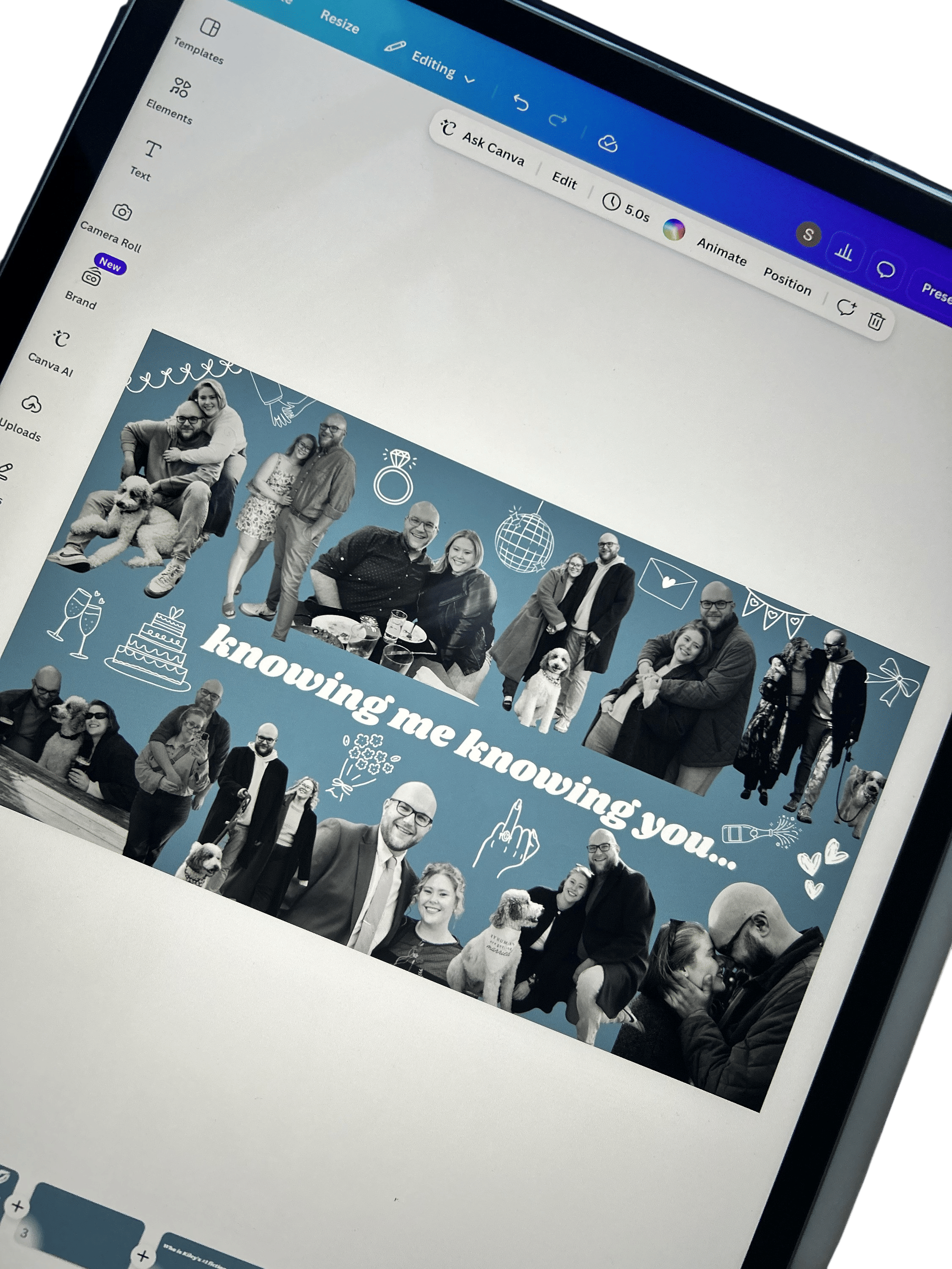 canva premium BG remover feature