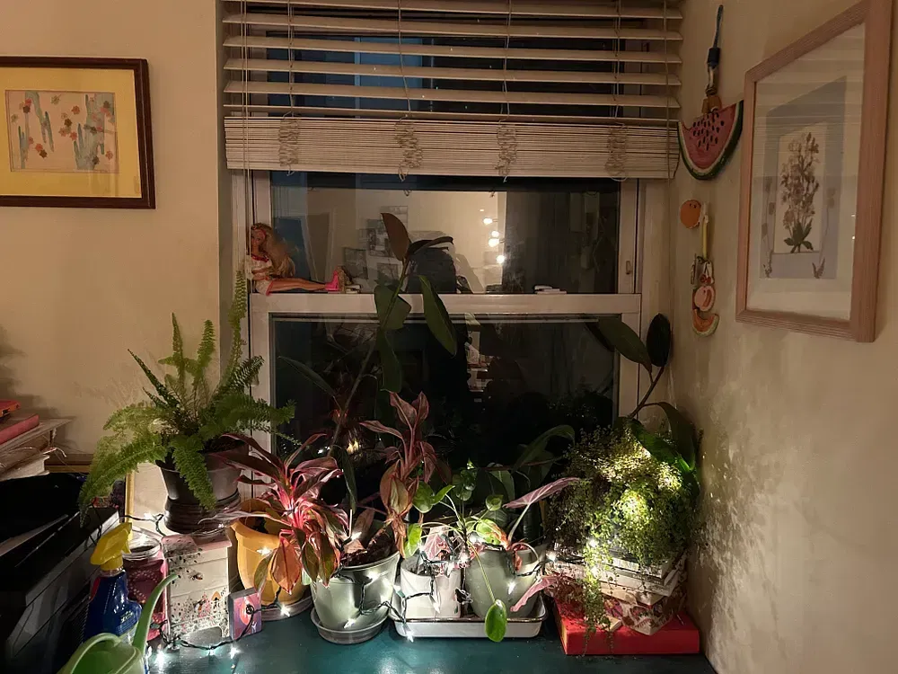 Putting indoor twinkle lights on an automatic timer