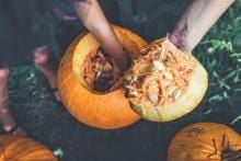 Scooping the pulp out of a pumpkin and handing it off to someone else for carving