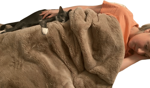 Sleeping with your cats
