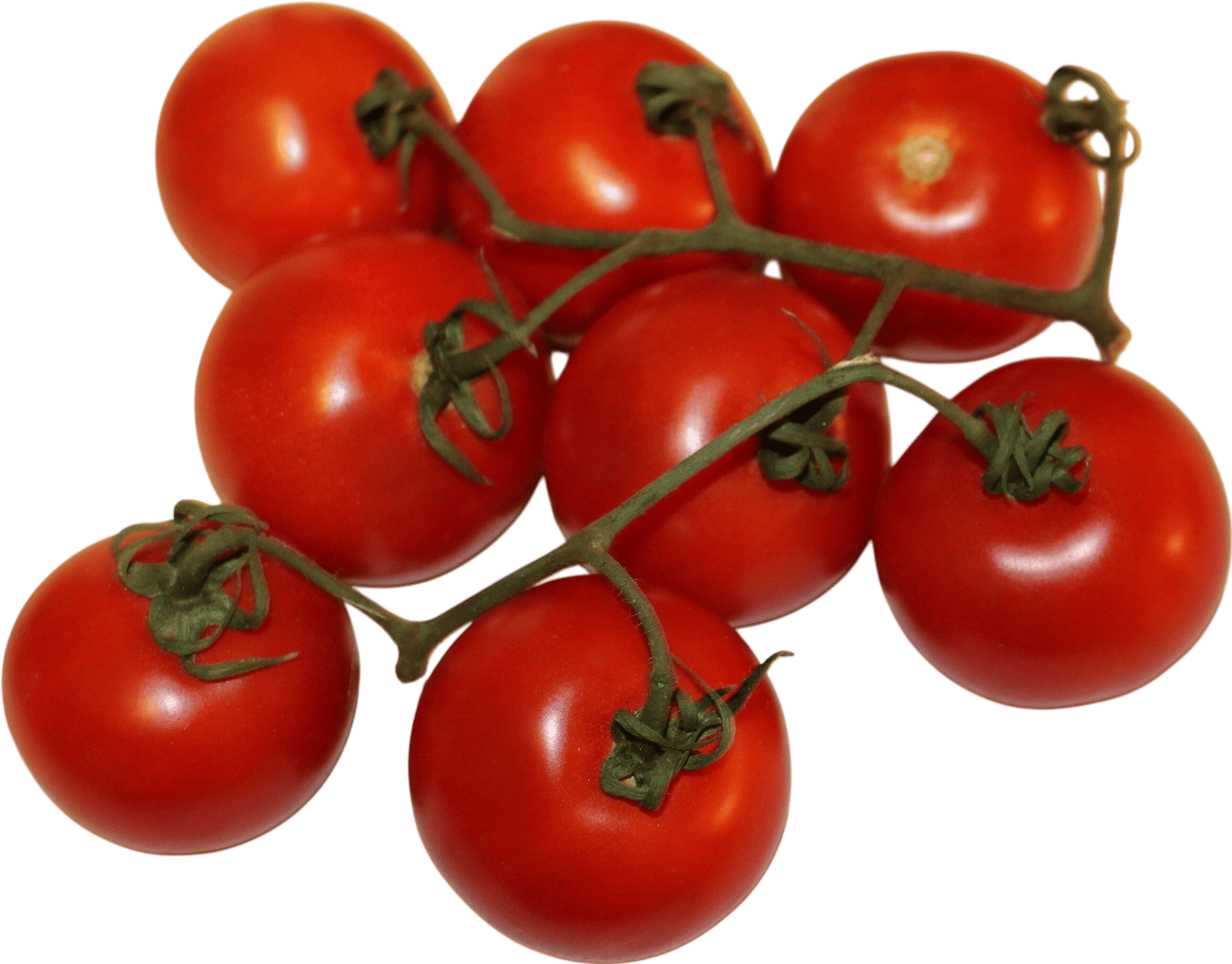 Campari Tomatoes
