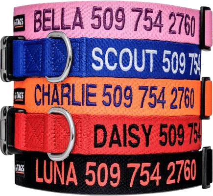 GOTAGS Personalized Pink Dog Collar X-Small