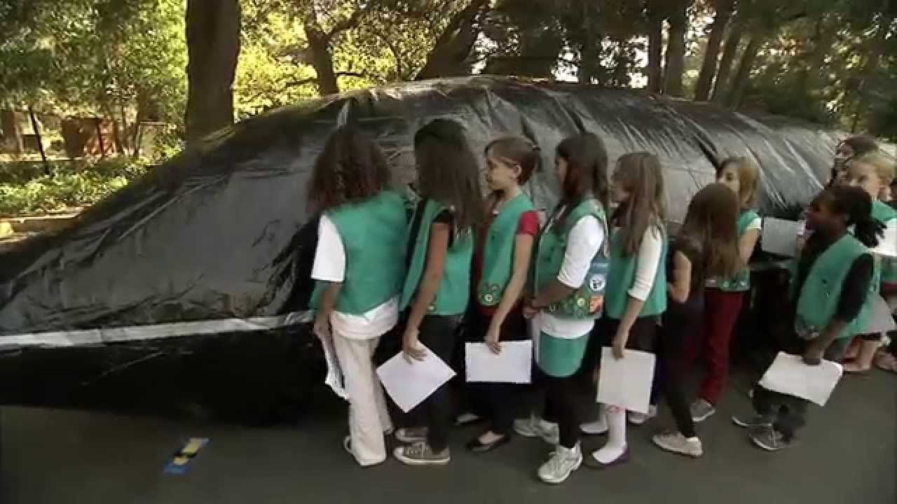 DIY Planetarium