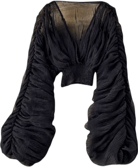 Sheer bell sleeve blouse