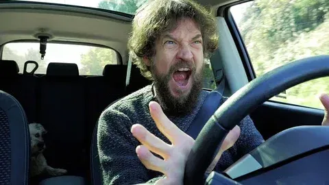 scream singing to your favorite songs in the car the whole commute home