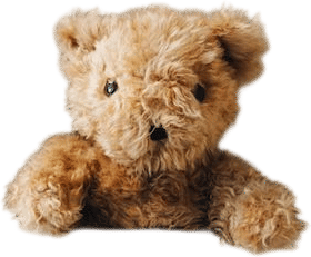 Sleeping with your childhood teddy bear