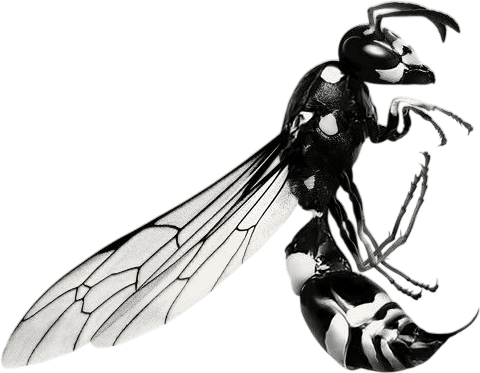 Kamaal Williams - Stings