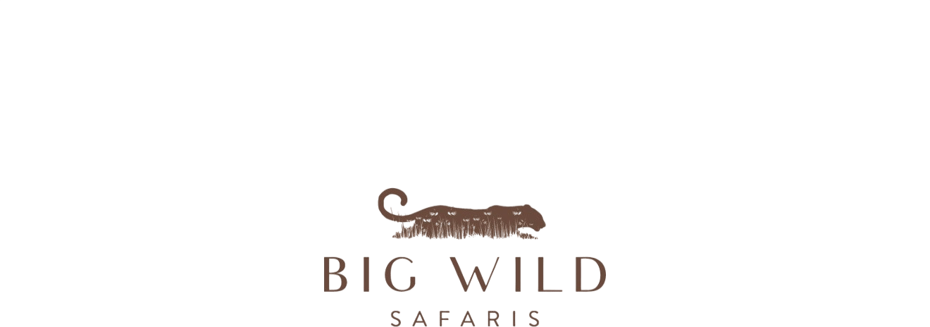 Big Wild Safaris