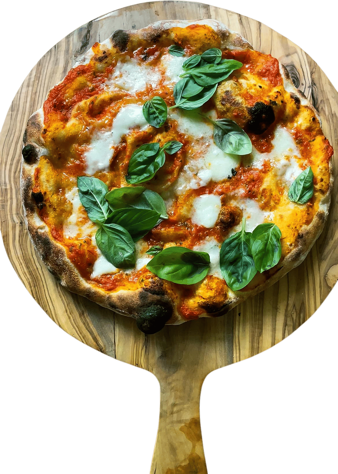 Simple Pizza Dough Recipe