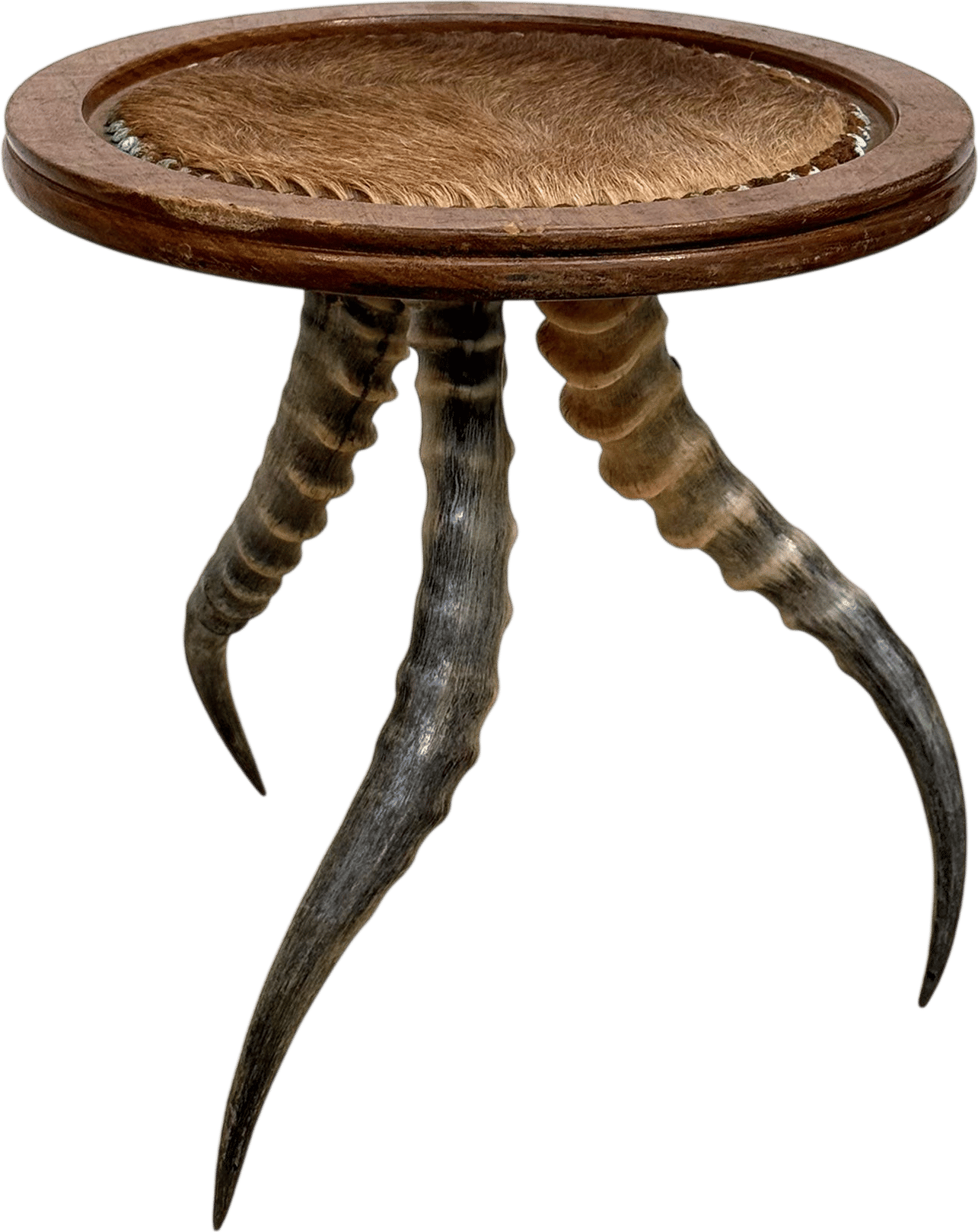 Horn, Wood, & Hide Side Table