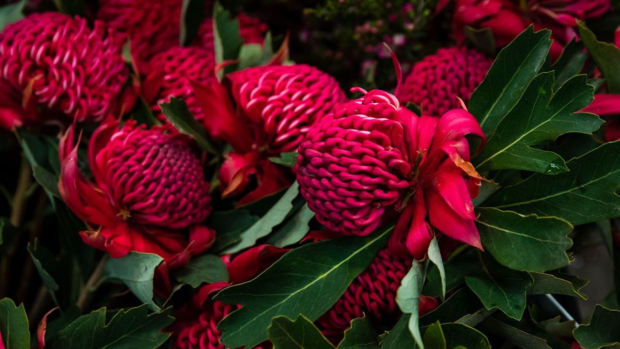 Fresh flowers from Carriageworks