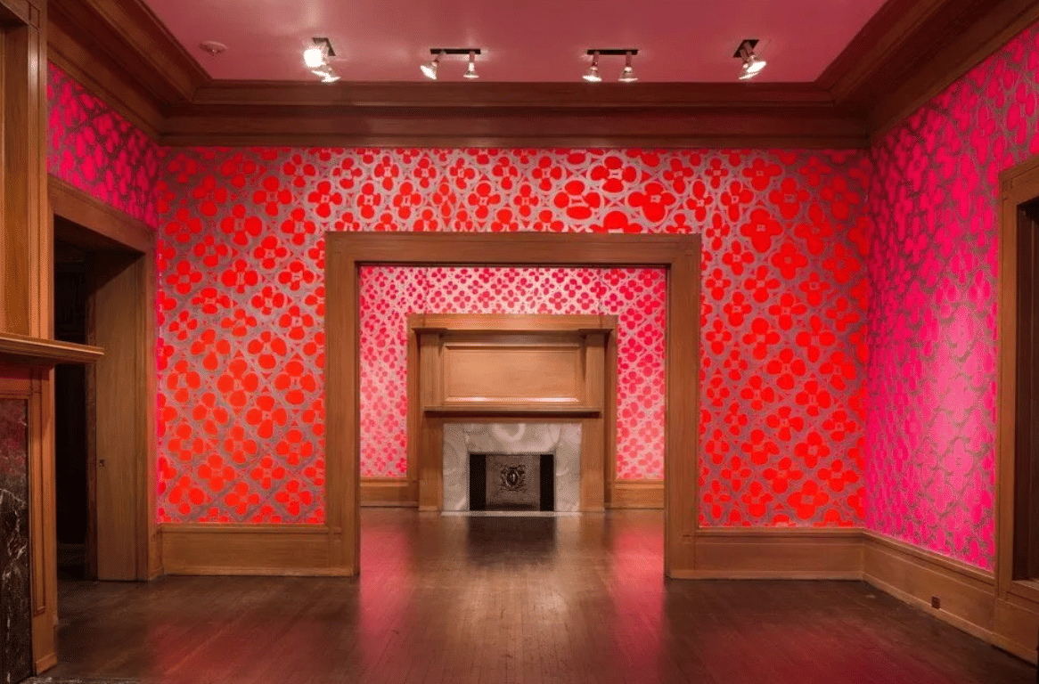 chicago delights