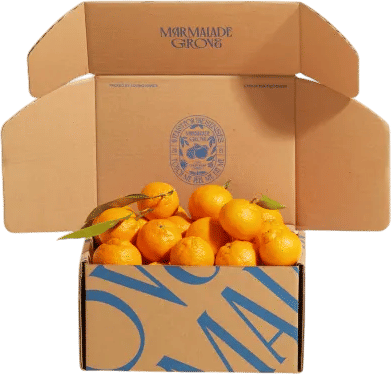California Citrus Box