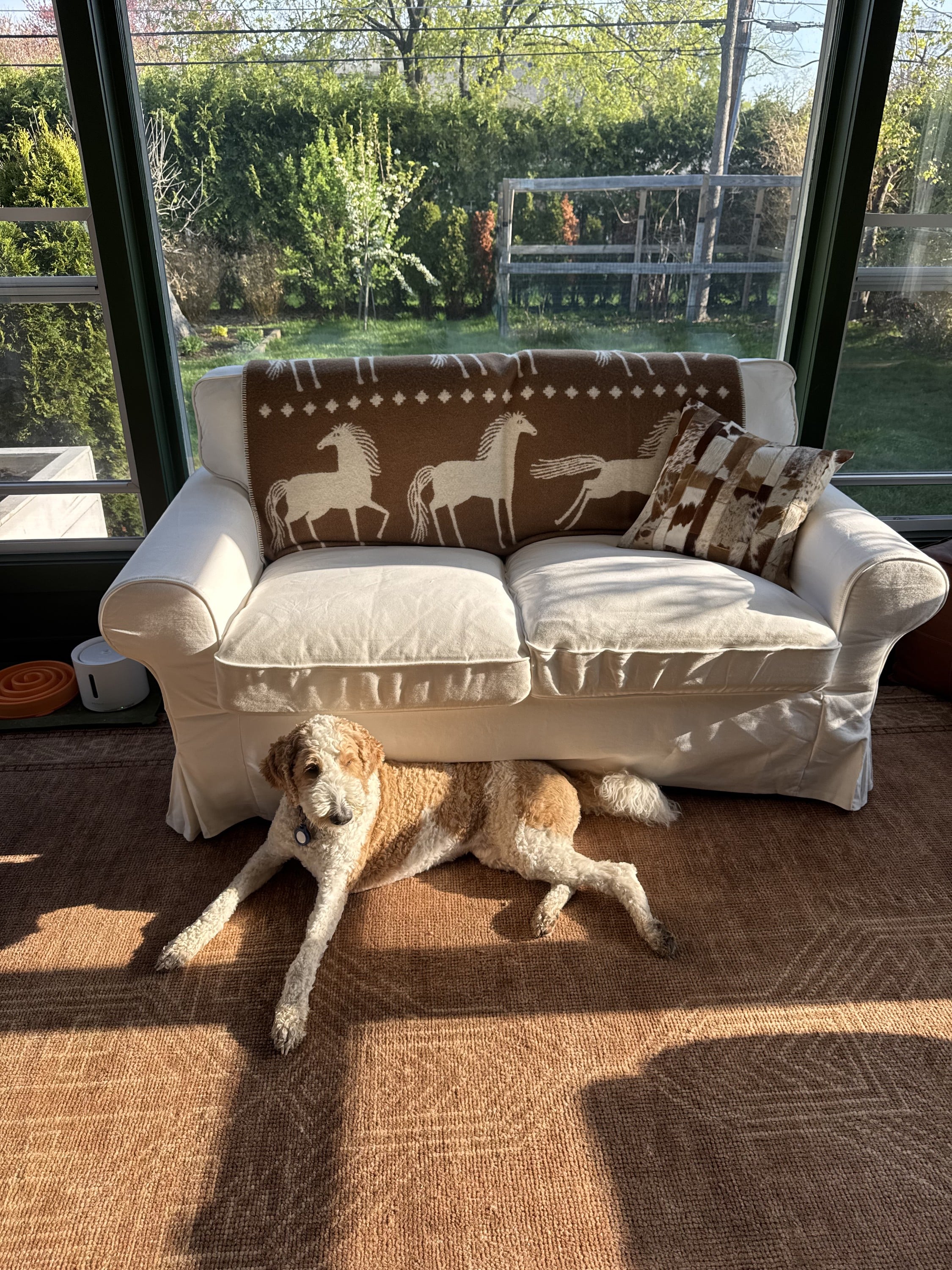 getting custom sized rugs on etsy