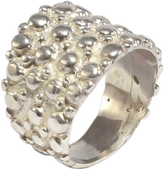 Casa Shop Sterling Textured Ring
