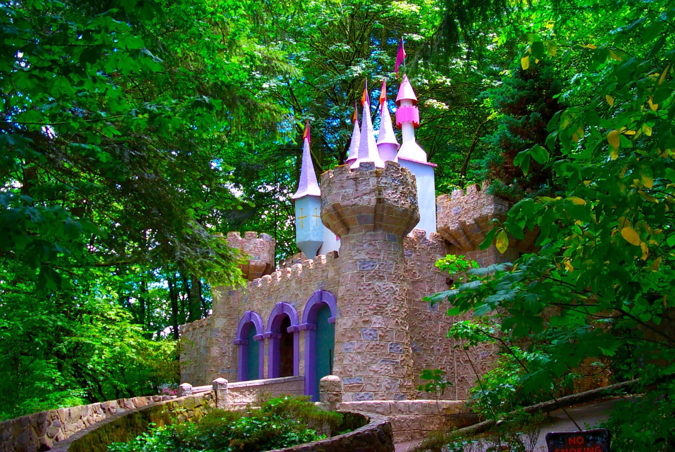 Enchanted Forest 🏰