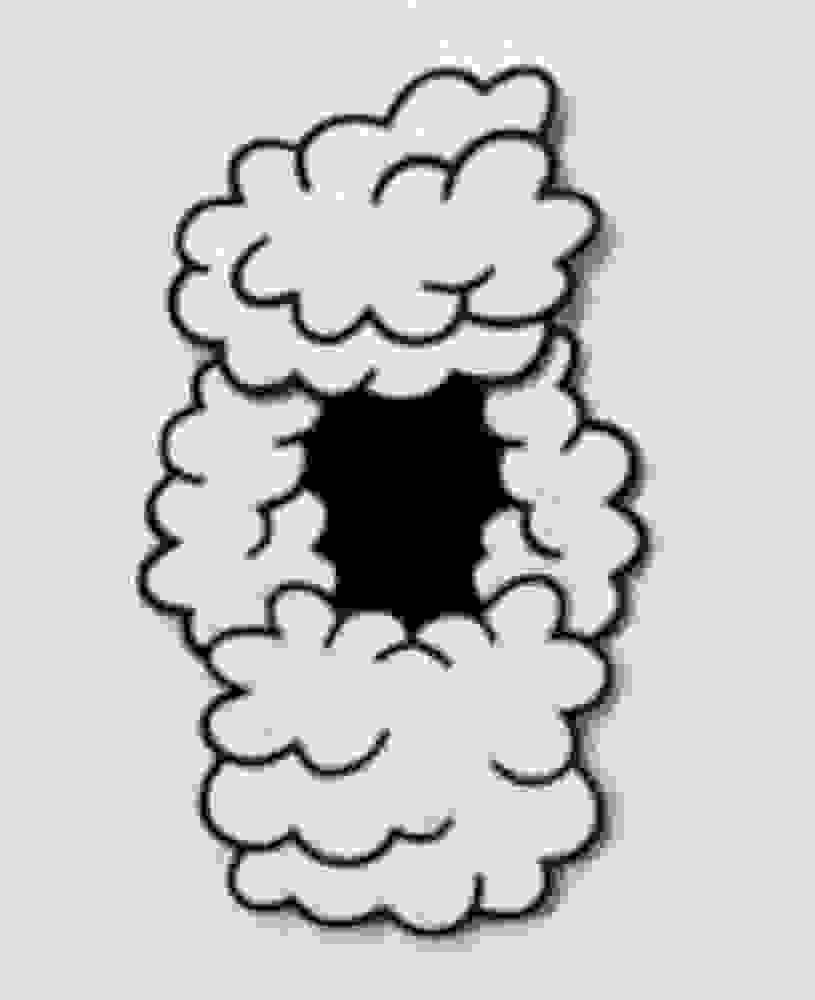 Stormy Weather - Adam Palmer
