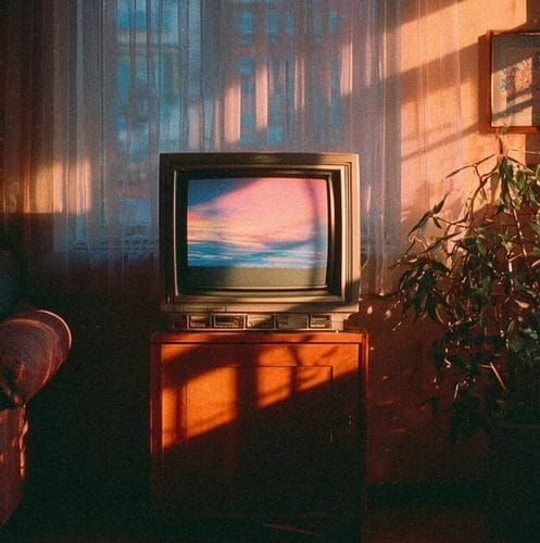 shows