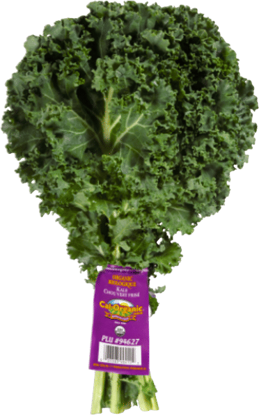 Organic Kale Bunch
