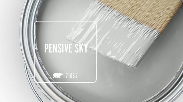 Pensive Sky